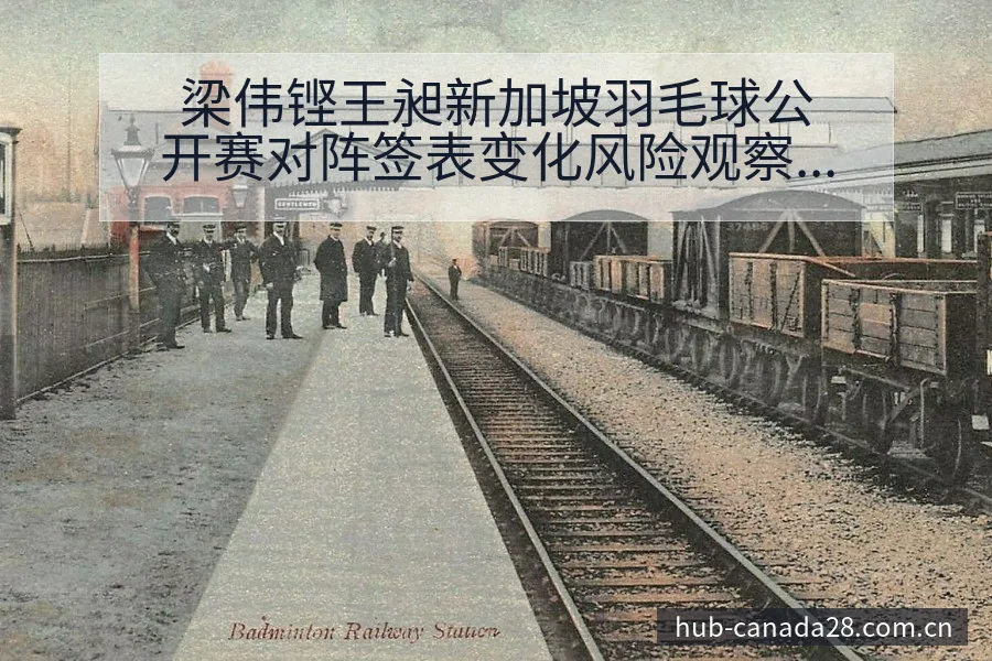 梁伟铿王昶新加坡羽毛球公开赛对阵签表变化风险观察分析 - 幸运28