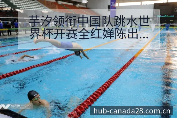 芋汐领衔中国队跳水世界杯开赛全红婵陈出战数据对比分析 - 幸运28